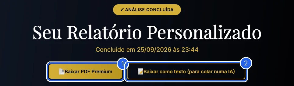 Seu Relatório Personalizado com Baixar PDF Premium e Baixar como texto marcados
